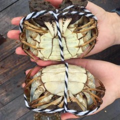 盘锦河蟹鲜活大1一元蟹香辣蟹二元醉蟹六月黄2小螃蟹稻田毛肥包邮