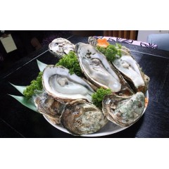 乳山新鲜生蚝鲜活10斤特大5斤牡蛎大海鲜水产一箱海蛎子包邮生耗